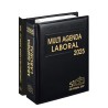 Multi Agenda Laboral  y Complemento 2025